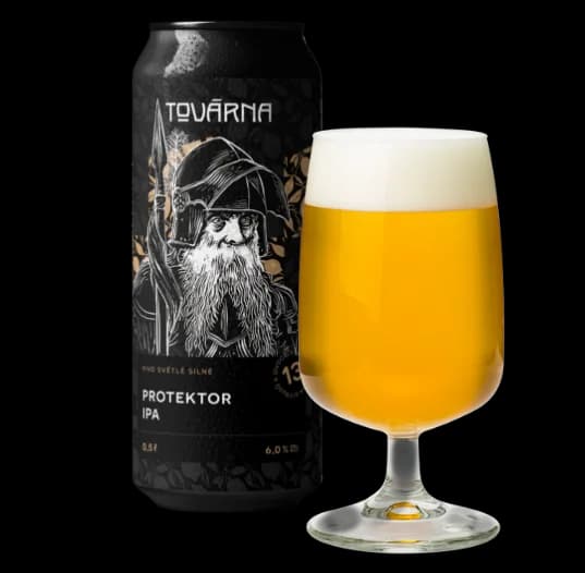 Protektor IPA 13°